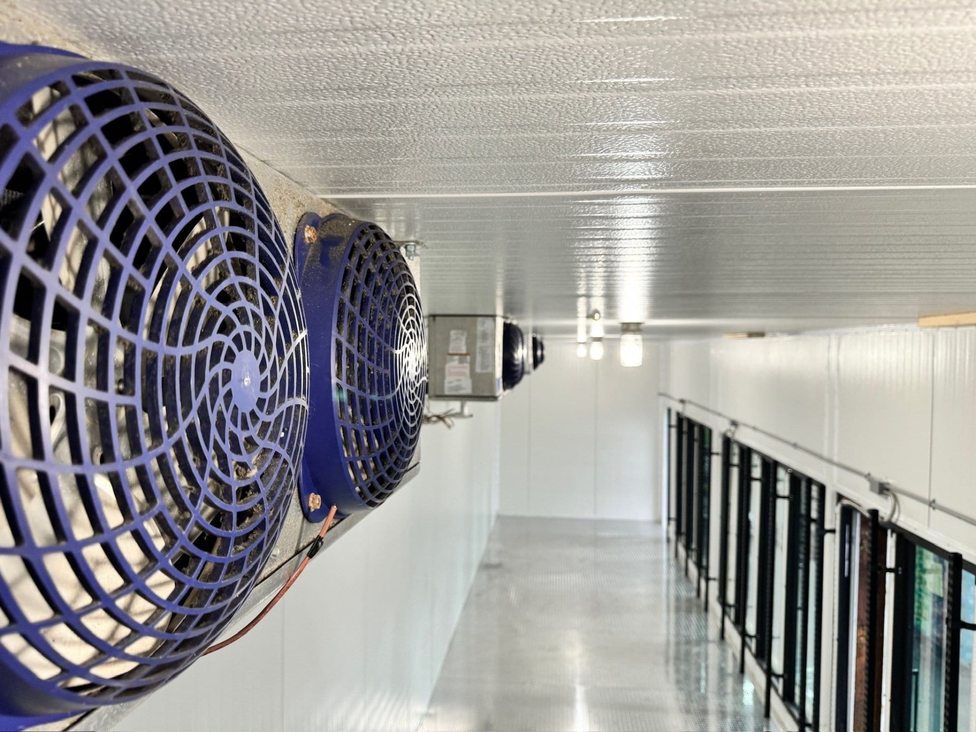Blue evaporator fans along the left wall of the Yankee Spirits cooler, the glass reach-in door line running down the far side of the aisle
